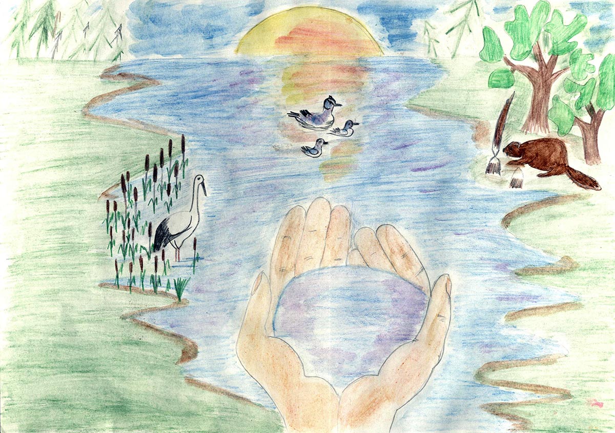 Автор - А. Логинова